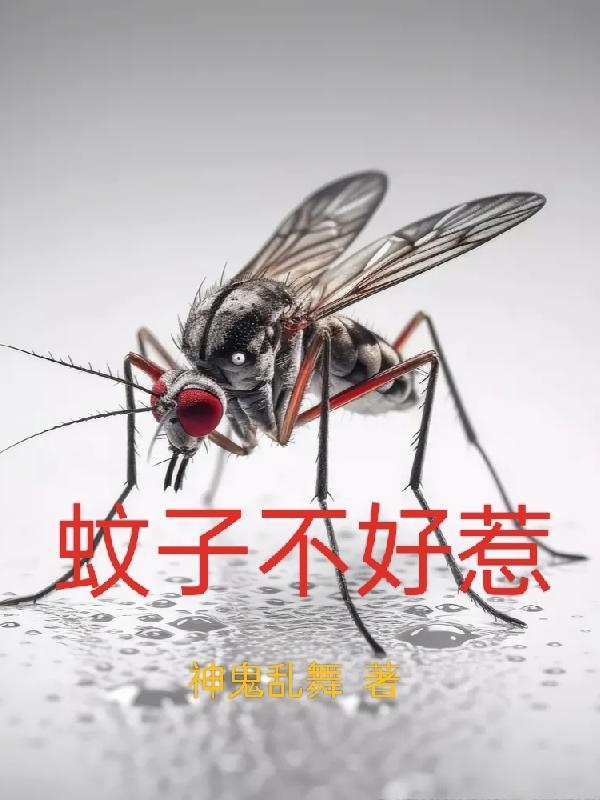 蚊子不好惹 蚊子不好惹